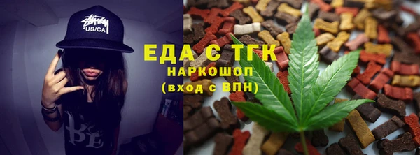 индика Аркадак