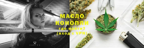 индика Аркадак