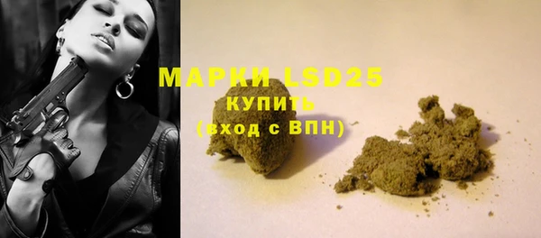 индика Аркадак
