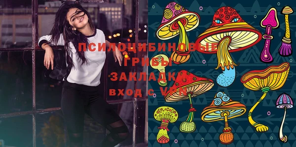 индика Аркадак