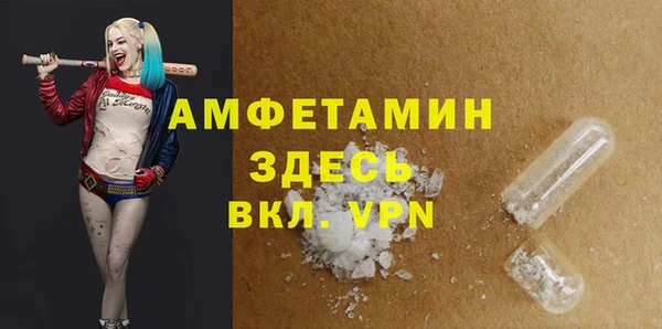 индика Аркадак