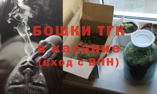 индика Аркадак