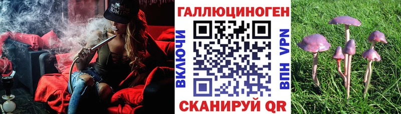 Псилоцибиновые грибы Cubensis  наркошоп  OMG сайт  Новоульяновск 